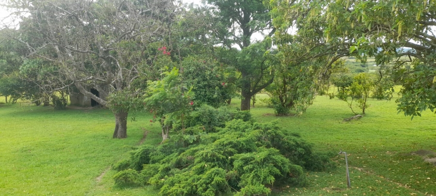 Commercial Property for Sale in Komga Rural Eastern Cape